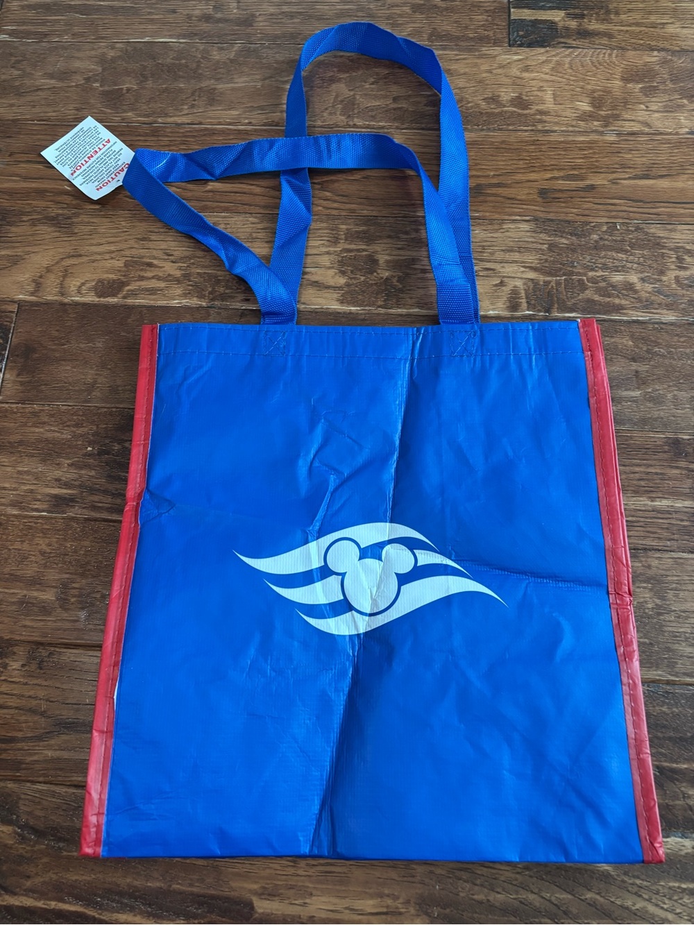 Disney Cruise Shopping Tote Bag Medium 13 x 13